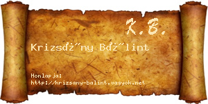 Krizsány Bálint névjegykártya